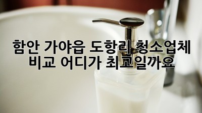 함안 가야읍 도항리 청소업체 비교, 어디가 최고일까요? ✨