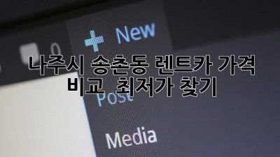 나주시 송촌동 렌트카 가격 비교 & 최저가 찾기!
