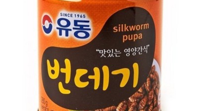 헐! 득템찬스! 번데기 종류 완전 정복 가이드 ✨
